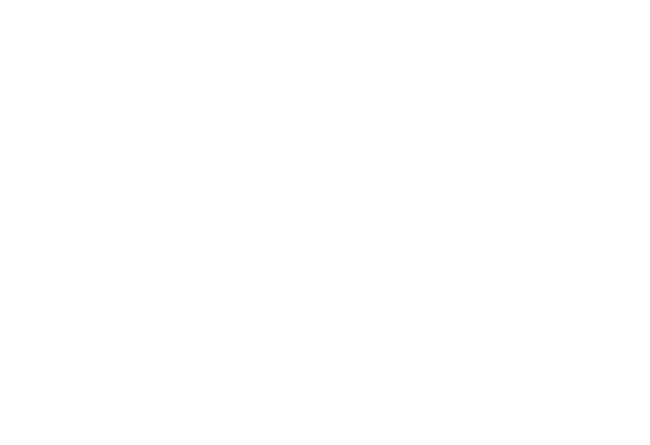 TOPARADI